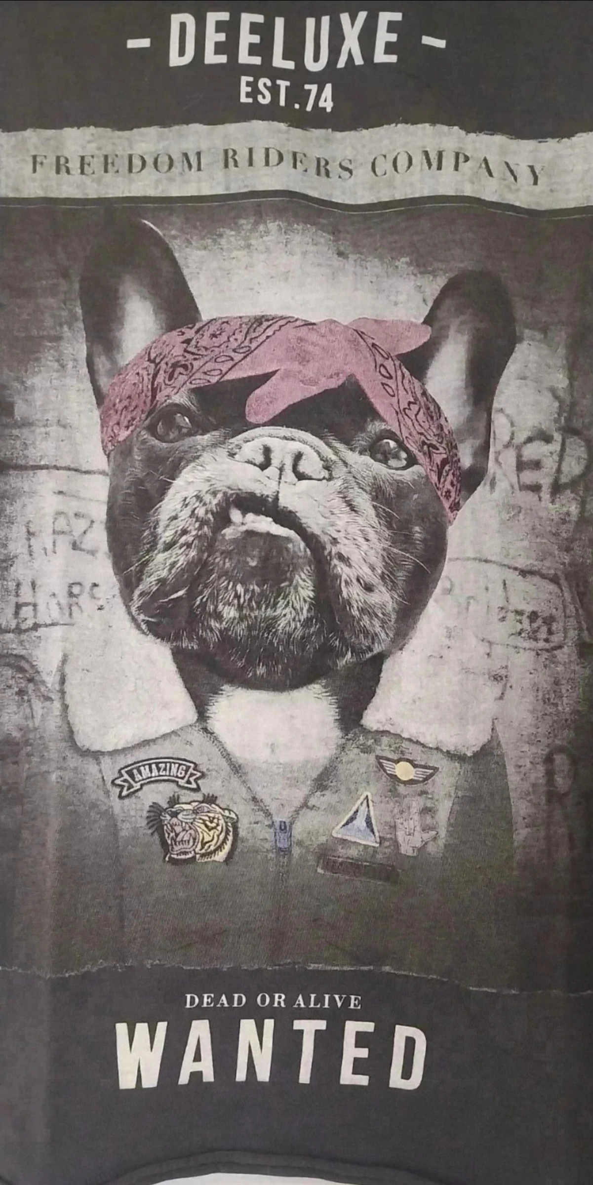 Camiseta 14 años – photo 3